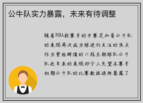 公牛队实力暴露，未来有待调整